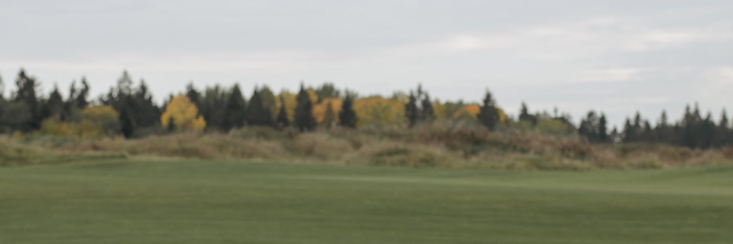 anispira's profile banner image