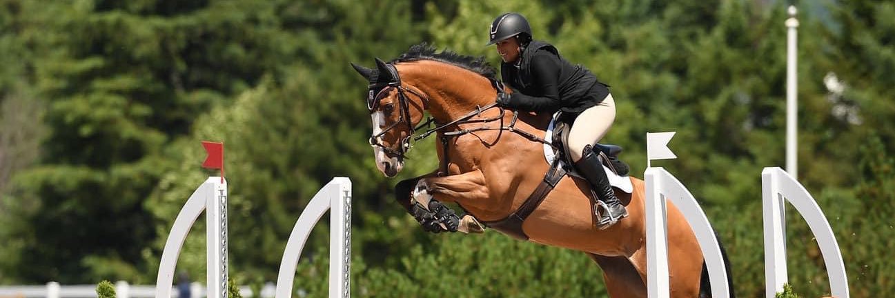 Rachel A. Schaeffer banner