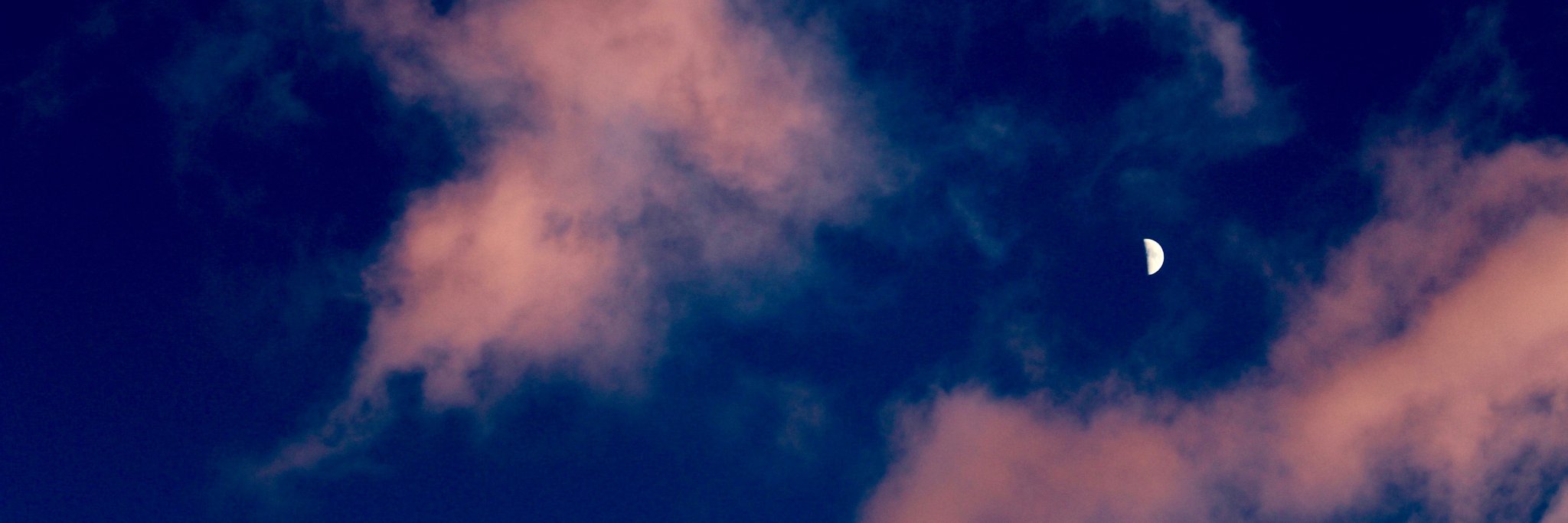 shealeymccarthy's profile banner image