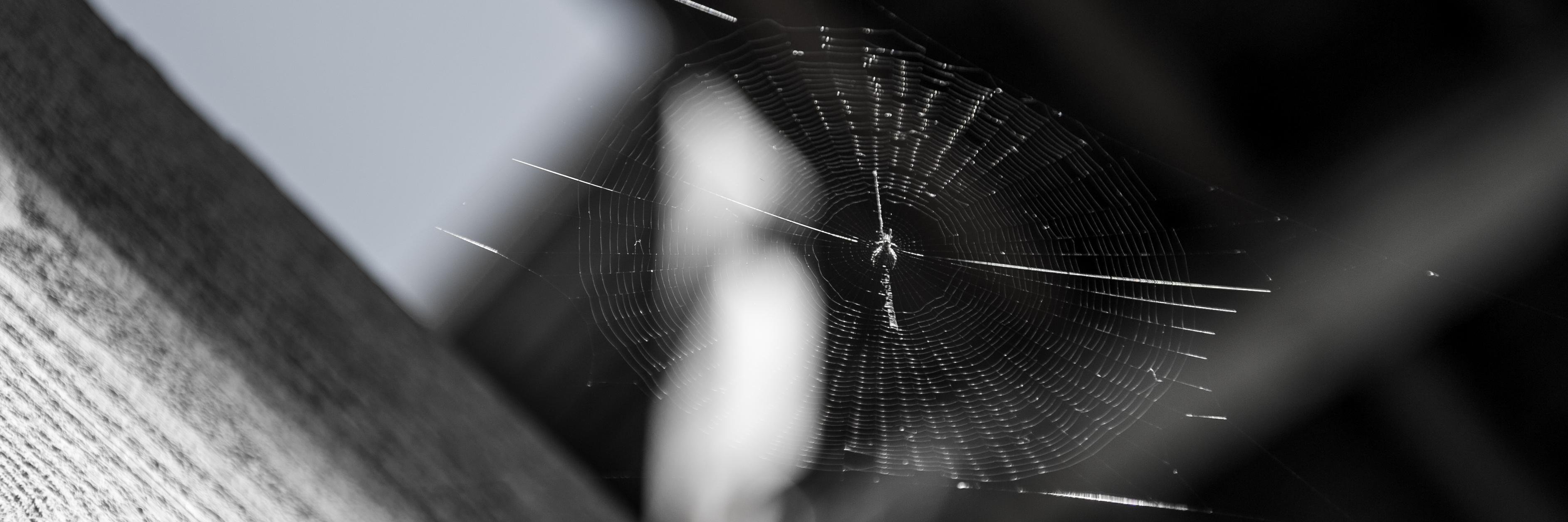AHoranPhoto's profile banner image