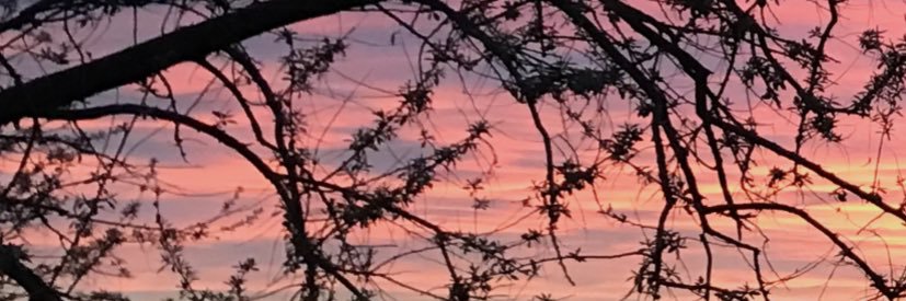Cjm_5's profile banner image