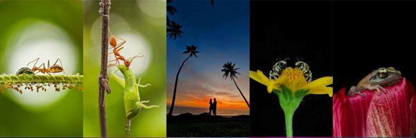 Ajeesh021997 Profile Banner