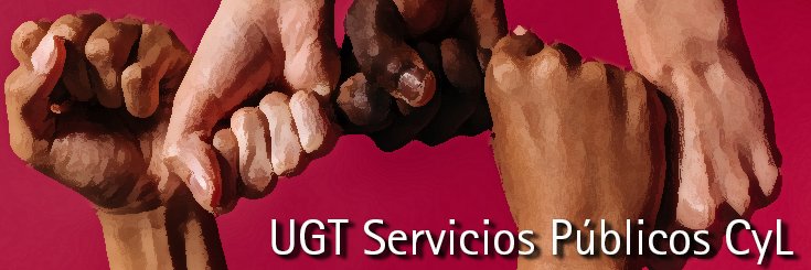 UGT Servicios Públicos de Castilla y León's banner
