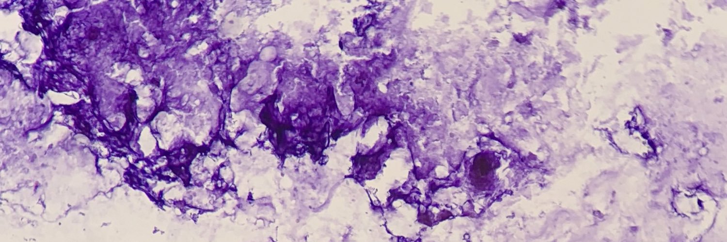 Zucker Pathology Residency's banner