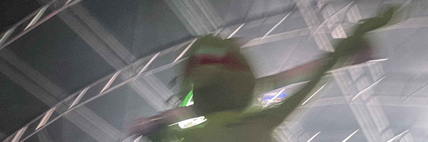 WhyKokoi's profile banner image