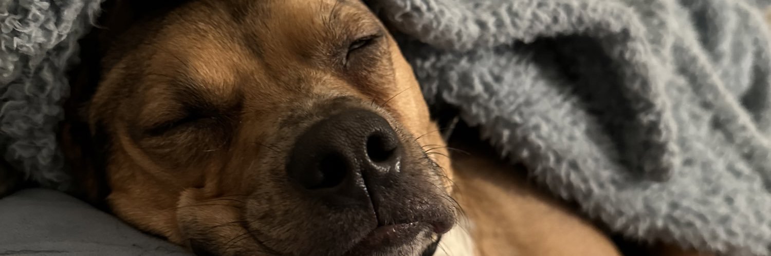SparklingLil's profile banner image