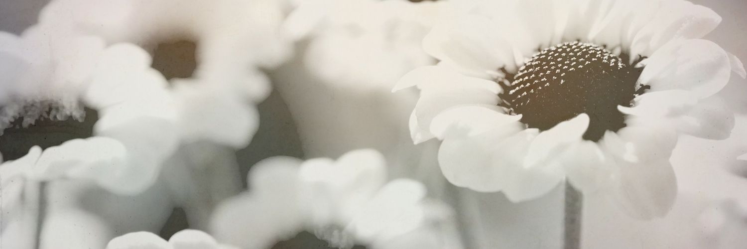 alyssa_quick's profile banner image