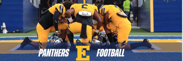 GoEPanthers Profile Banner