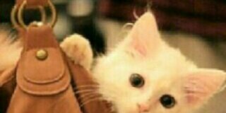 rima112267's profile banner image
