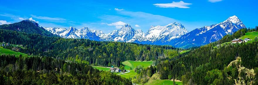 ʜᴀʀᴀʟᴅ banner