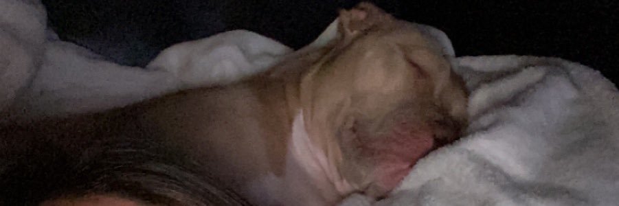 biganthonyjohn's profile banner image