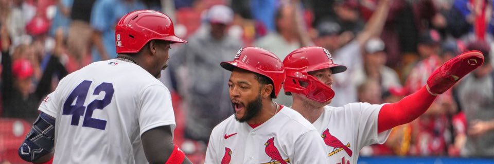 Cardinals Muse banner