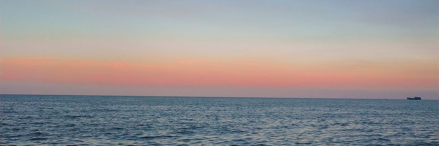 segalajika's profile banner image