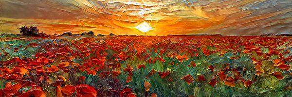 Noetical Profile Banner