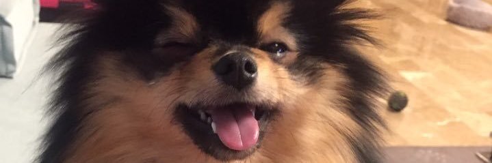 AngelTaetaebear's profile banner image
