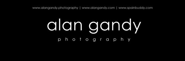 Alan Gandy Profile Banner