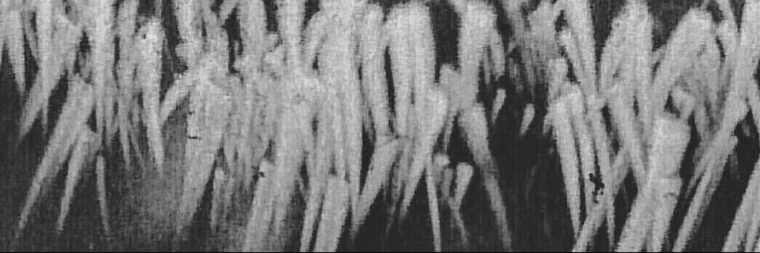 tehwingchair's profile banner image