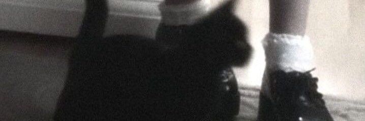 gwen banner