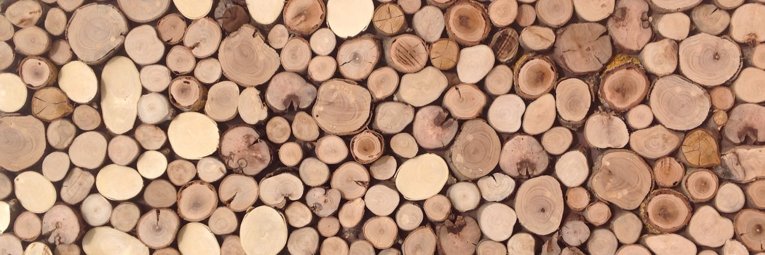 David Martínez banner