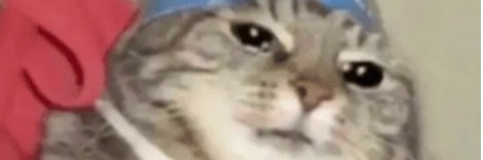 Angrydocs .com banner