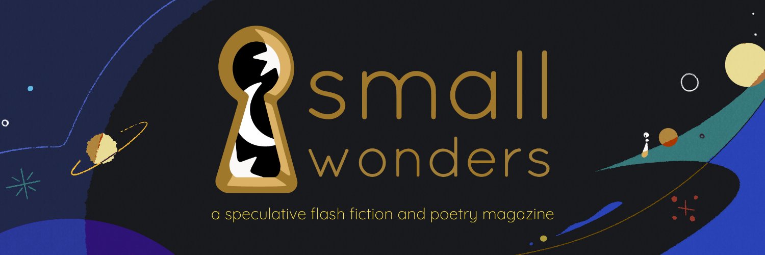 Small Wonders Magazine Profile Banner