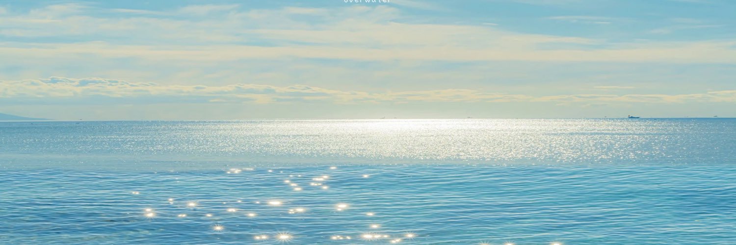 blu banner