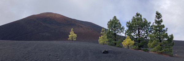 BarboraValik Profile Banner