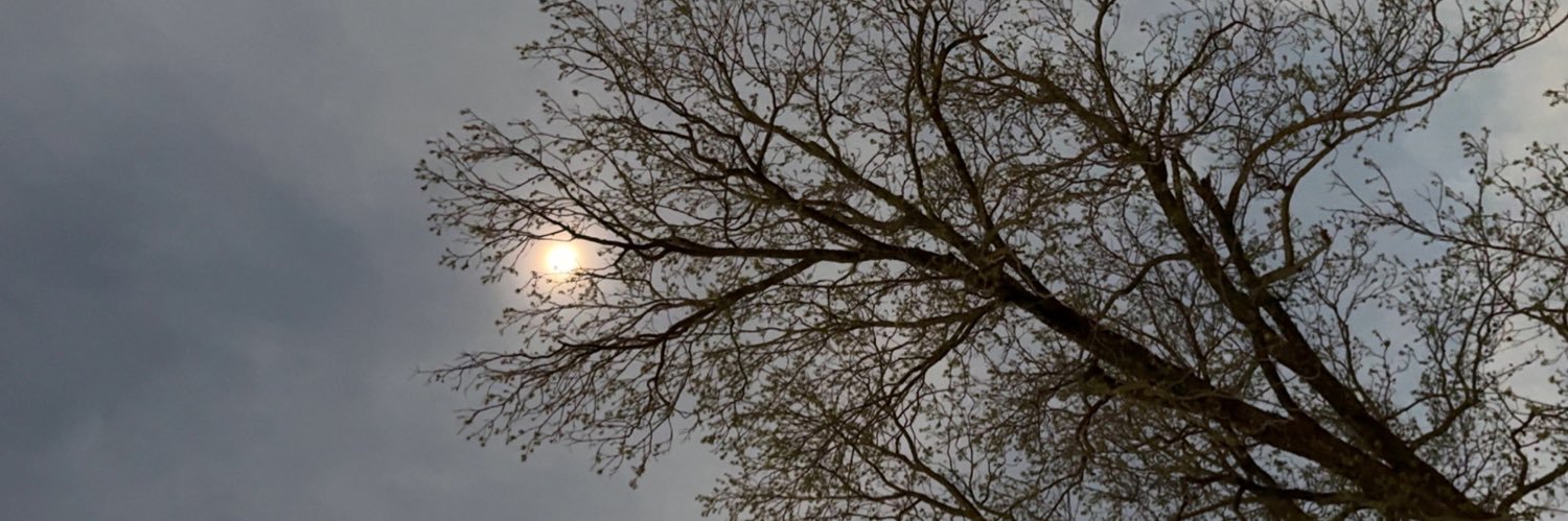 Podz revenge tour banner