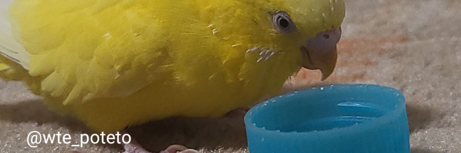 wte_poteto's profile banner image