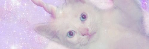 phadein2u's profile banner image