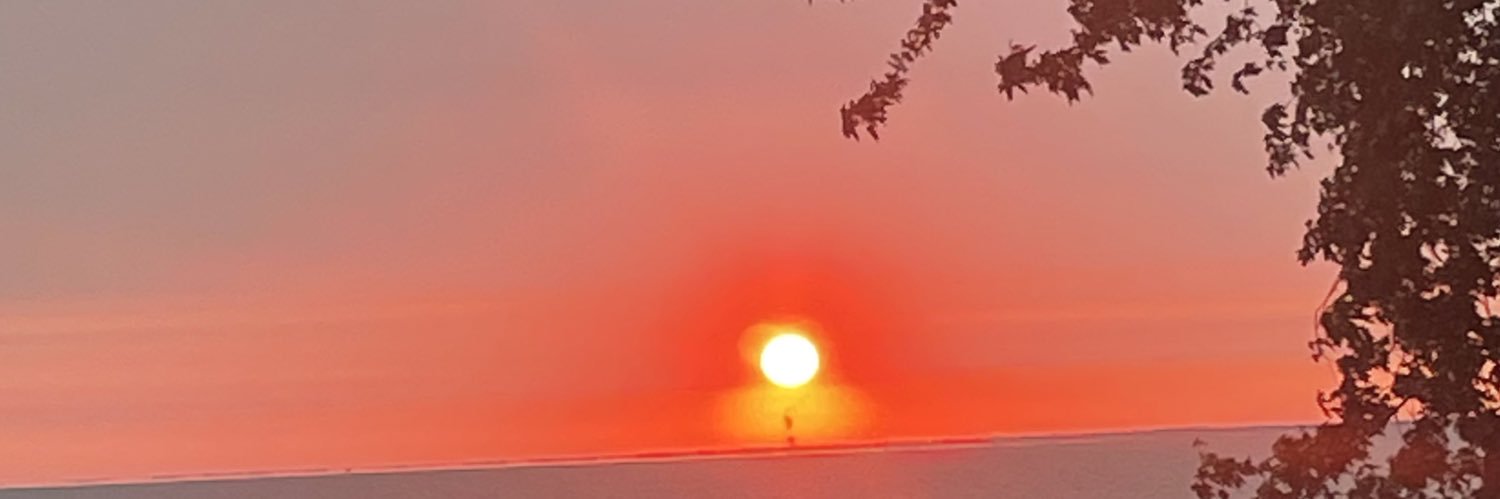 hbcarter's profile banner image