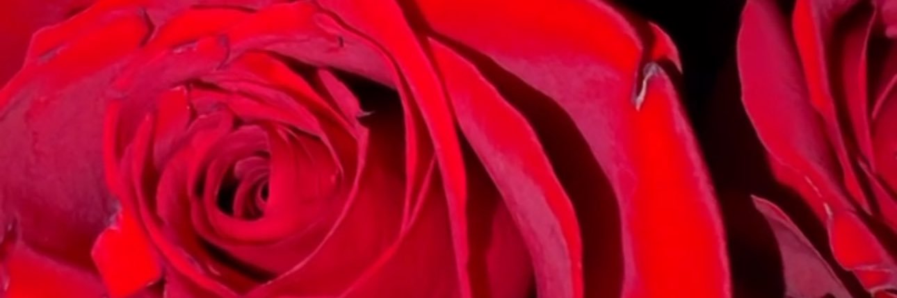 _dakotaaaa8's profile banner image