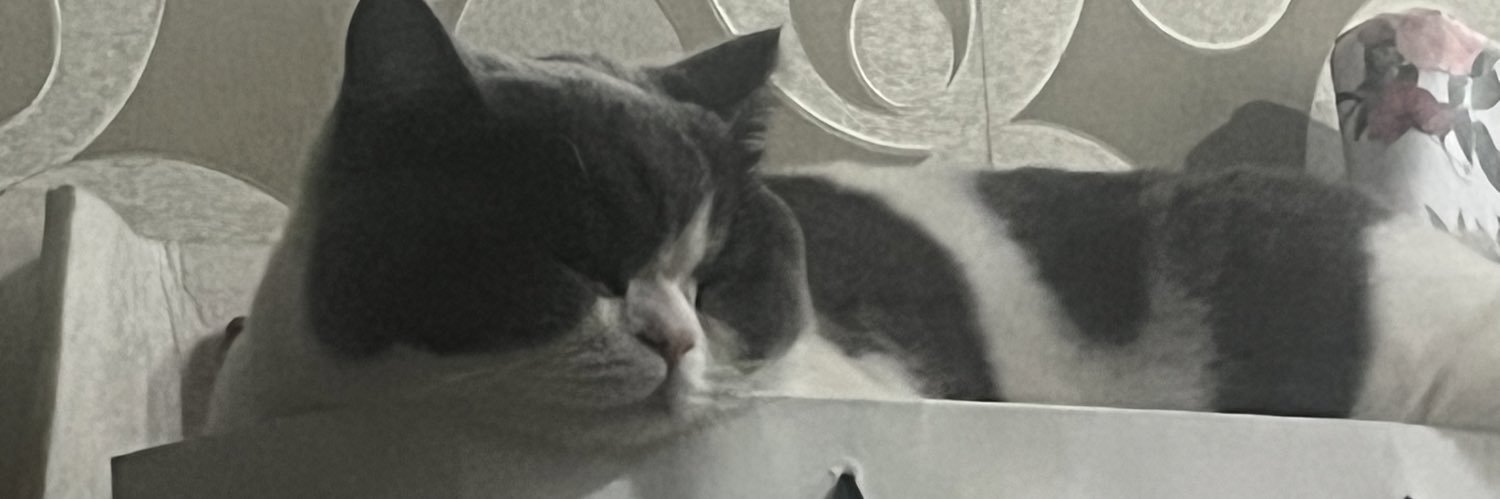 linkcat banner