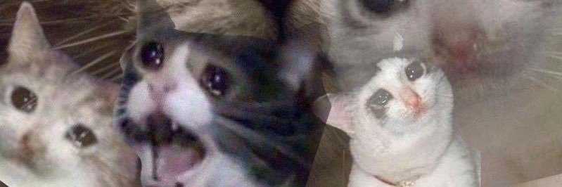 manchan78's profile banner image