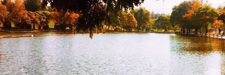 همتا خانوم banner