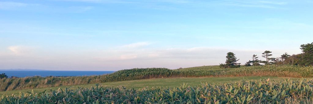 冨岡春絵 / はっち banner