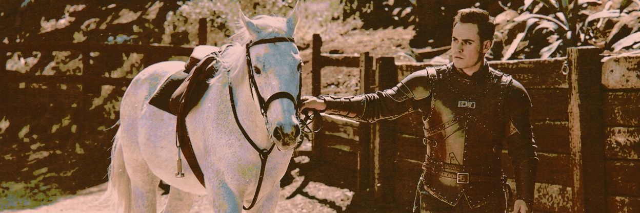 𓂃 ٭ 𝕮𝔞𝔪𝔞𝔯𝔬 𝕱𝔦𝔯𝔢𝔟𝔯𝔞𝔫𝔡. banner