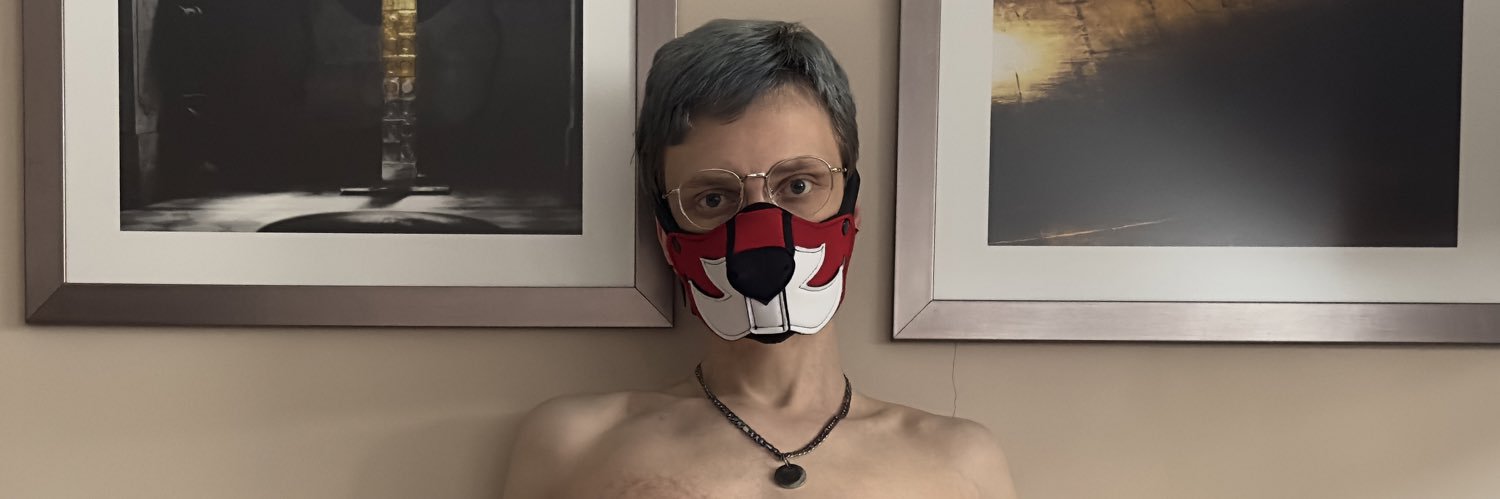 Pup_Amon's profile banner image