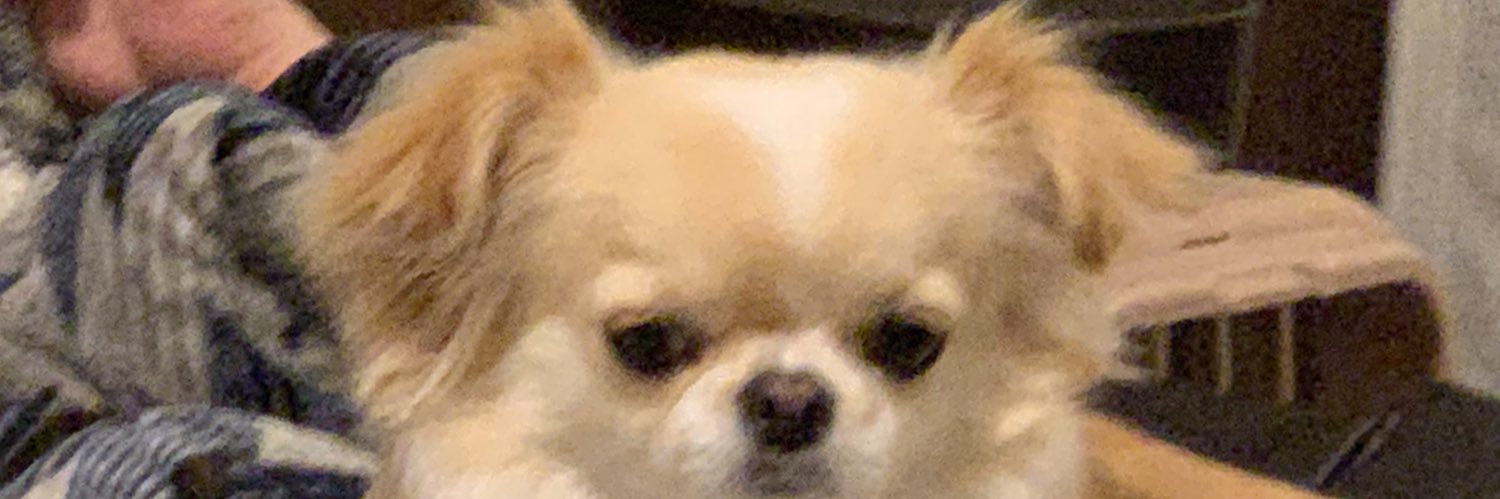 rmym888's profile banner image