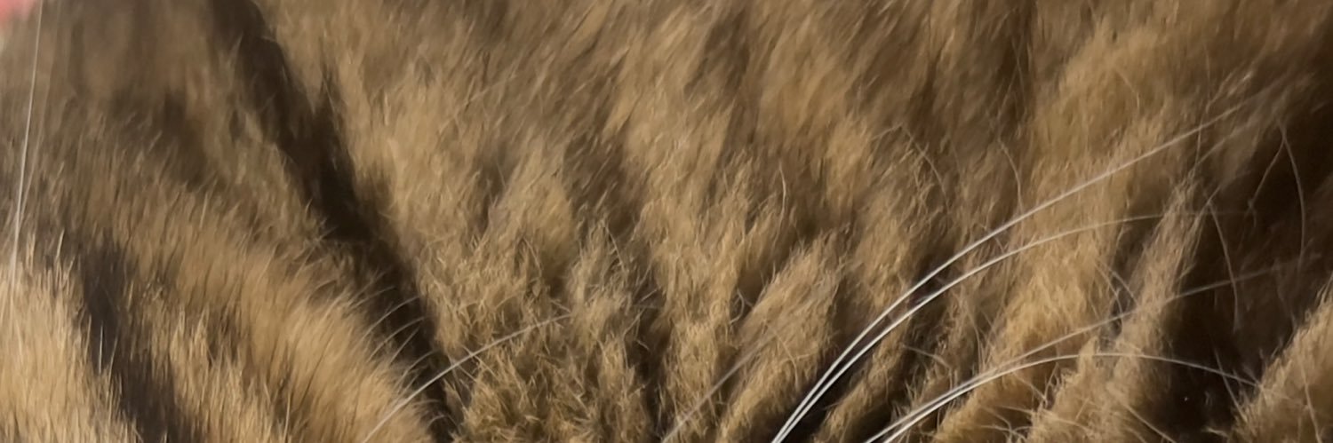so__810's profile banner image