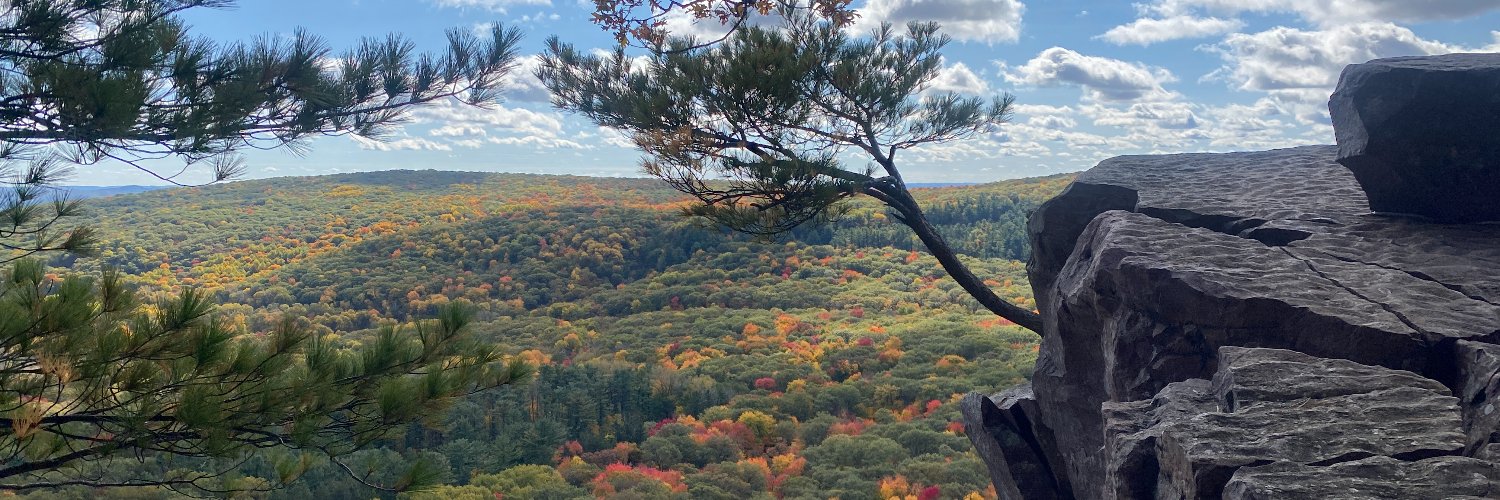 Brian Morelli banner