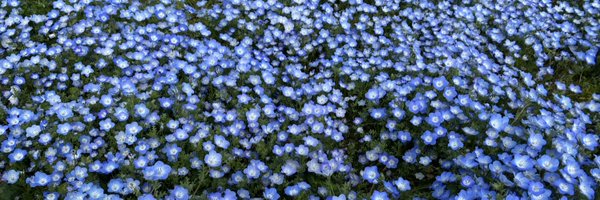 qRHnoW4sUnMaAd4 Profile Banner