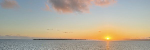 sakuraing64 Profile Banner