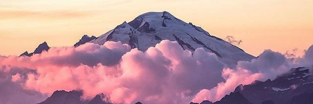 QueenBeeHcw3's profile banner image