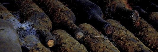 iberowine's profile banner image
