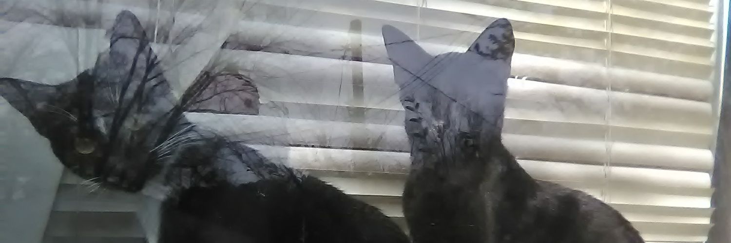 shaboopy's profile banner image
