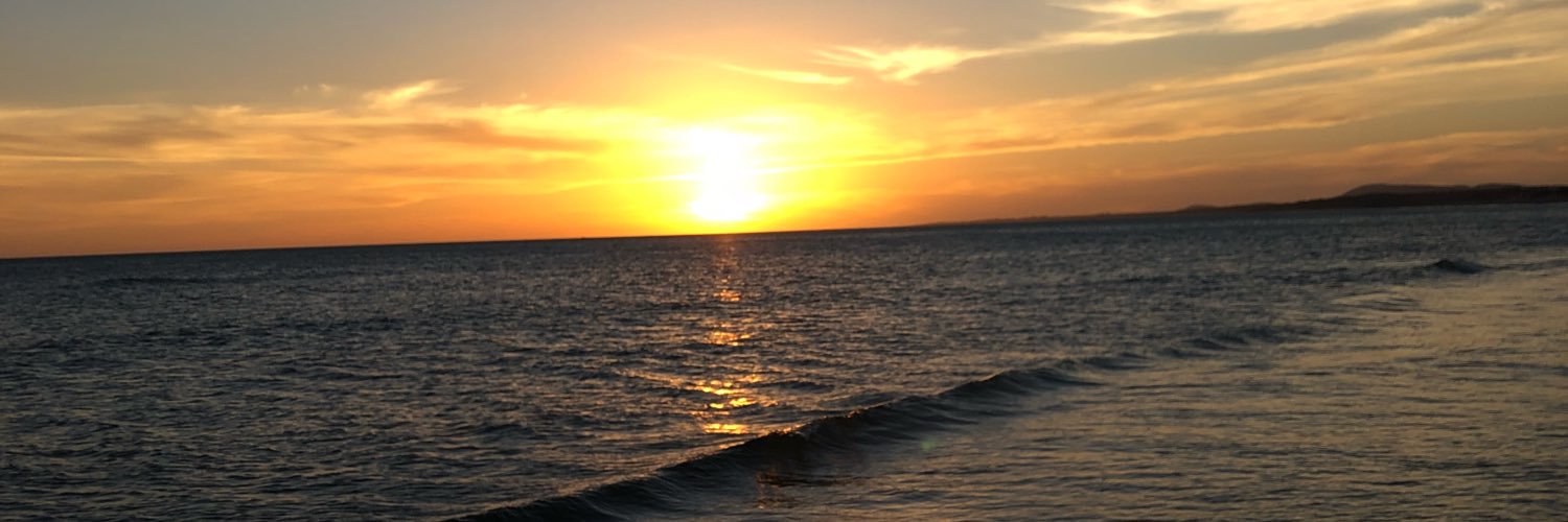 Veronica Chehtman ⭐️⭐️⭐️ banner