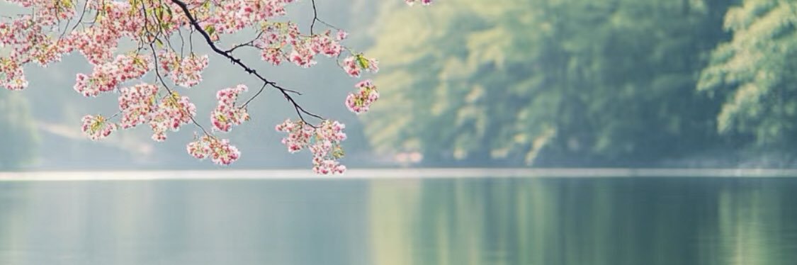 ggdhitz's profile banner image