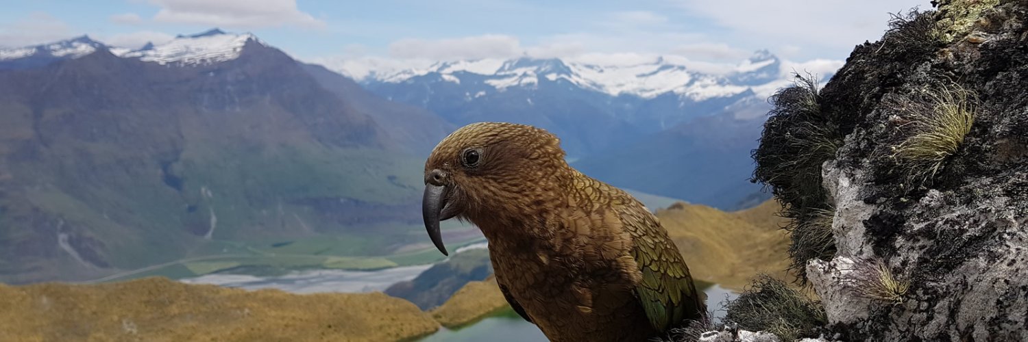 FPL Kea banner