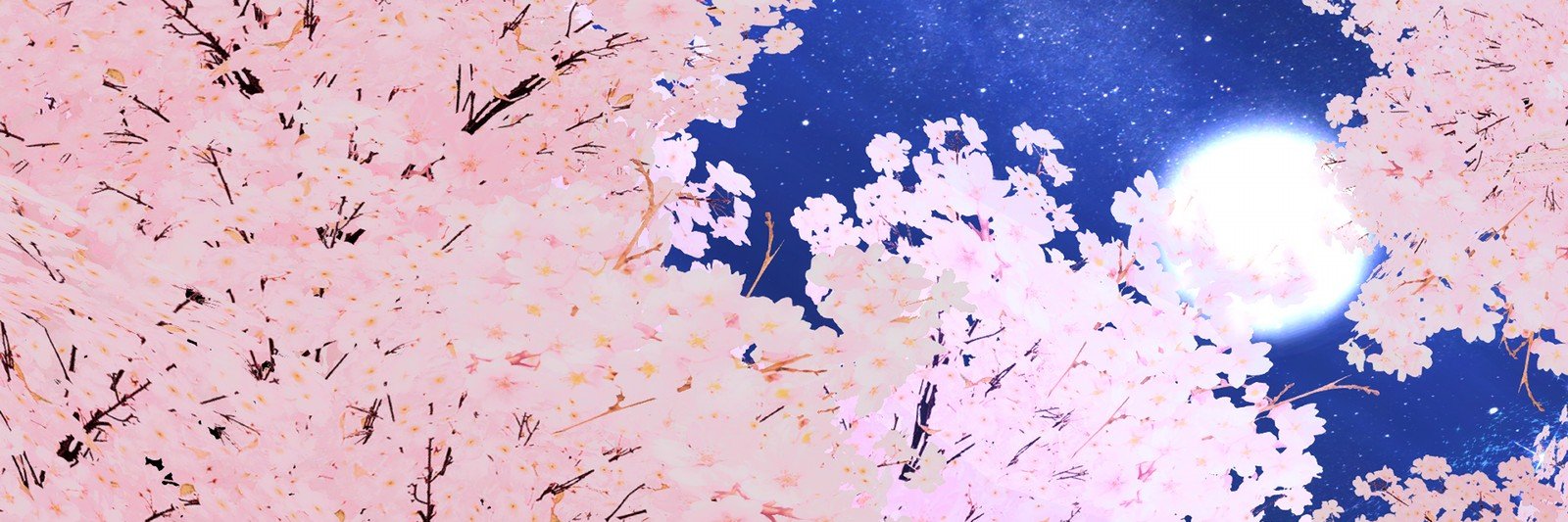 caramil_bot's profile banner image